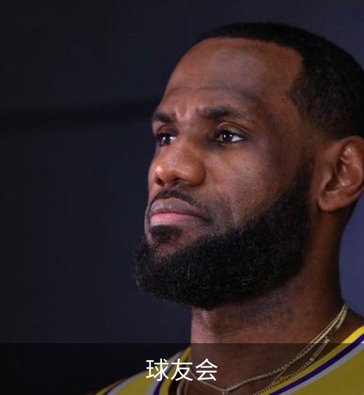 球友会概况